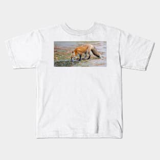 Red Fox - Algonquin Park, Canada Kids T-Shirt